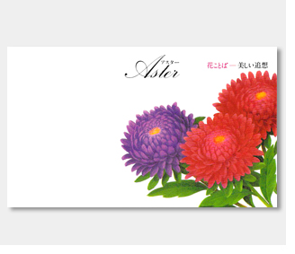 横型イラスト花の種アスター / 名入れ花の種おしゃれなガーデニング