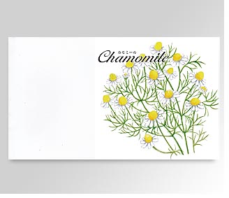 横型イラストハーブの種カモミール 名入れ花の種おしゃれなガーデニングノベルティのフレアデザイン