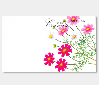 横型イラスト花の種コスモス 名入れ花の種おしゃれなガーデニングノベルティのフレアデザイン