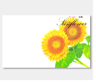横型イラスト花の種ひまわり 名入れ花の種おしゃれなガーデニングノベルティのフレアデザイン