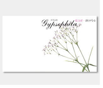 横型イラスト花の種かすみ草 名入れ花の種おしゃれなガーデニングノベルティのフレアデザイン