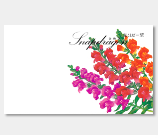 横型イラスト花の種金魚草 / 名入れ花の種おしゃれなガーデニング