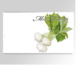 横型イラスト野菜の種小かぶ 名入れ花の種おしゃれなガーデニングノベルティのフレアデザイン