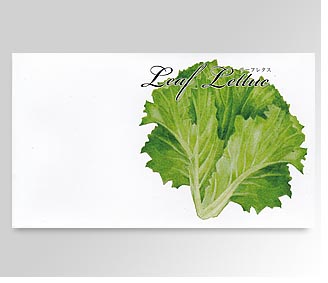 横型イラスト野菜の種リーフレタス 名入れ花の種おしゃれなガーデニングノベルティのフレアデザイン