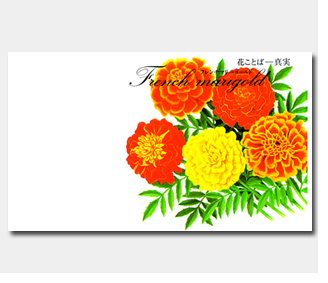名入れ花の種おしゃれなガーデニングノベルティのフレアデザインマリーゴールド