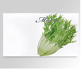 横型イラスト野菜の種みずな 名入れ花の種おしゃれなガーデニングノベルティのフレアデザイン