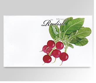 活き活きとしたイラストの入ったおしゃれなパッケージです いきいきとした野菜のイラストが美しいパッケージ 余白に名入れ出来ます 名入れ花の種おしゃれな ガーデニングノベルティのフレアデザイン