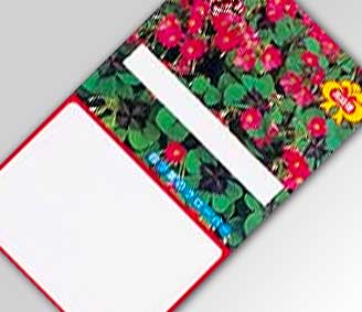 四ツ葉のクローバー