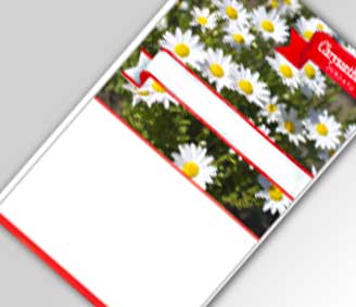 縦型広告入り種子クリサンセマム 名入れ花の種おしゃれなガーデニングノベルティのフレアデザイン