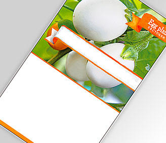 たまご？のなる木