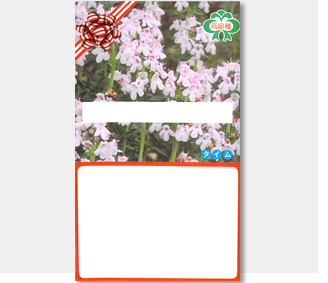 タイム