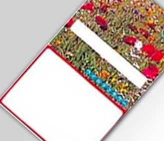 ワイルドフラワー