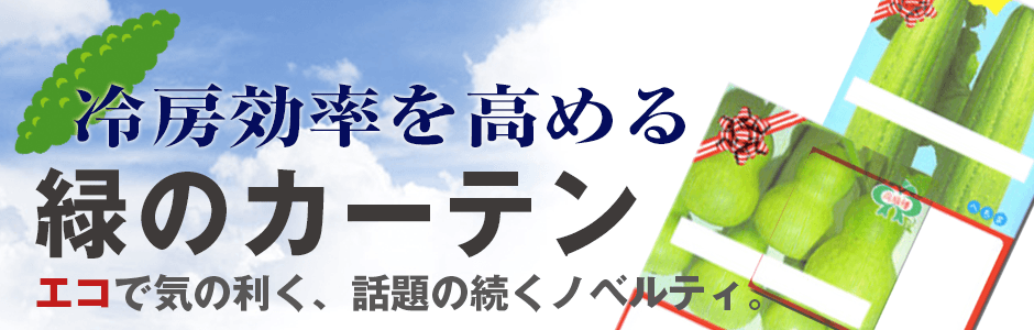緑のカーテンに向く品種