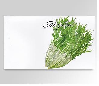 横型イラスト野菜の種